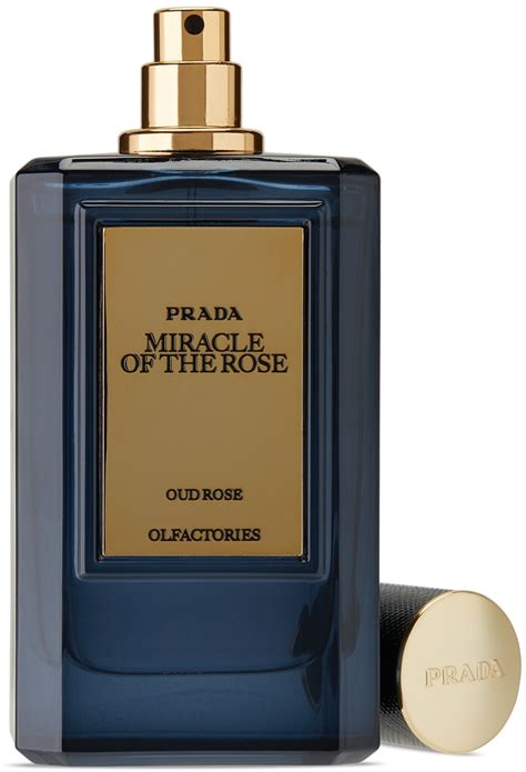 prada miracle of the rose review|prada miracle of the rose.